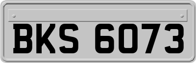 BKS6073