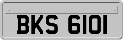 BKS6101