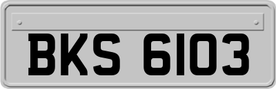 BKS6103