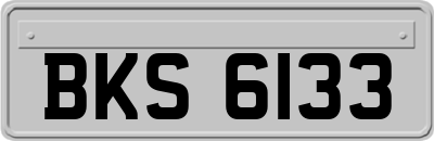 BKS6133