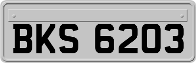 BKS6203