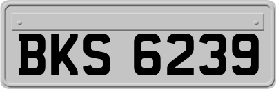 BKS6239