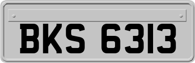 BKS6313