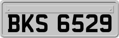BKS6529