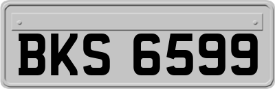 BKS6599