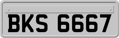 BKS6667