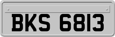 BKS6813
