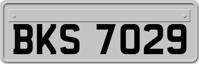 BKS7029