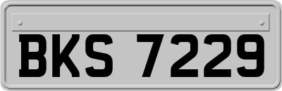BKS7229