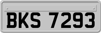 BKS7293
