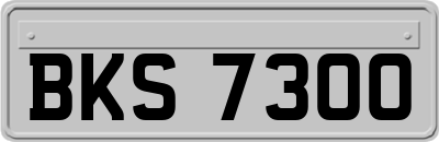 BKS7300