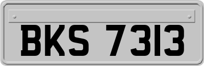 BKS7313