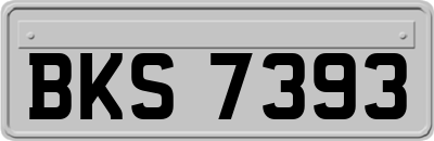 BKS7393