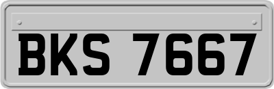 BKS7667