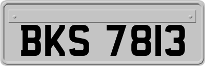 BKS7813