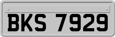 BKS7929
