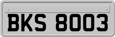 BKS8003