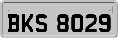 BKS8029