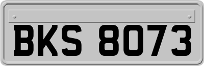 BKS8073