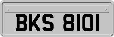 BKS8101