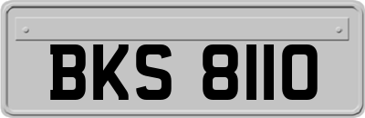 BKS8110