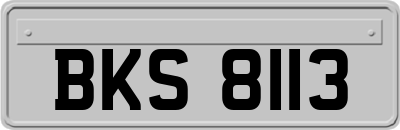 BKS8113