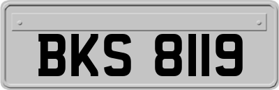 BKS8119