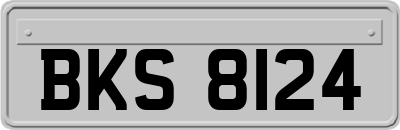 BKS8124