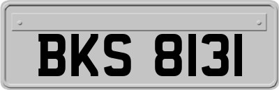 BKS8131