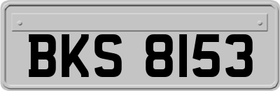 BKS8153