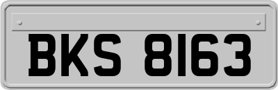 BKS8163