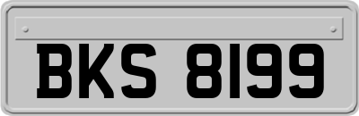 BKS8199