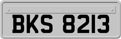 BKS8213