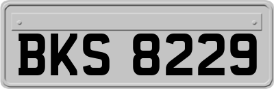 BKS8229