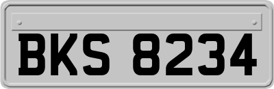 BKS8234