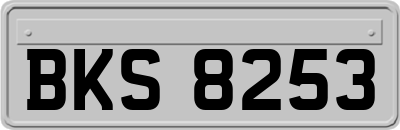 BKS8253