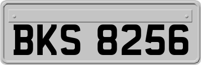 BKS8256