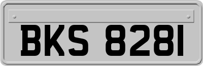 BKS8281