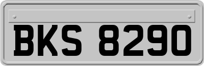 BKS8290