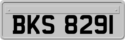 BKS8291