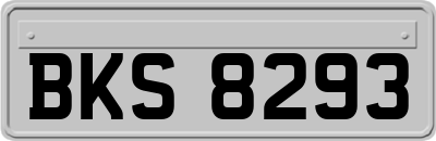 BKS8293