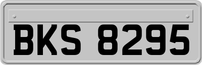 BKS8295