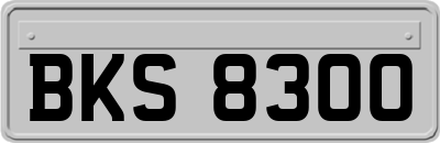 BKS8300