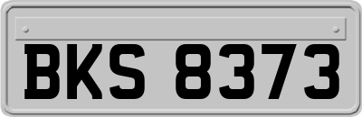 BKS8373