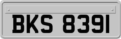 BKS8391