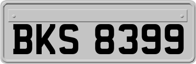 BKS8399