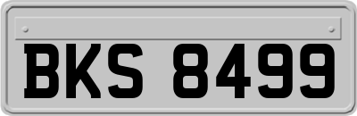BKS8499