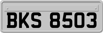 BKS8503