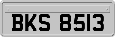 BKS8513