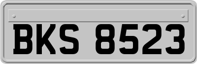 BKS8523
